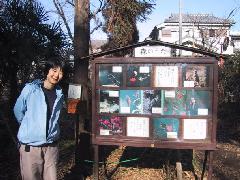 Original Size: 608 x 456, 83KB