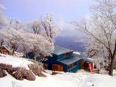 Original Size: 500 x 375, 126KB