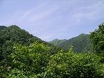 Original Size: 573 x 430, 106KB