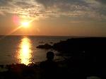 Original Size: 460 x 345, 101KB