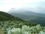 Original Size: 640 x 480, 62KB