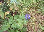 Original Size: 640 x 480, 109KB