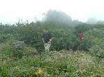 Original Size: 640 x 480, 67KB