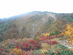 Original Size: 640 x 480, 128KB