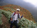 Original Size: 512 x 384, 95KB