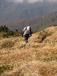 Original Size: 384 x 512, 92KB
