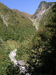 Original Size: 369 x 492, 98KB