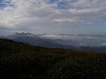 Original Size: 717 x 538, 77KB