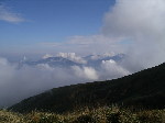 Original Size: 881 x 660, 98KB