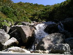 Original Size: 512 x 384, 99KB