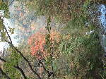 Original Size: 640 x 480, 123KB