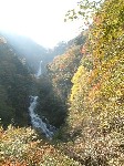 Original Size: 480 x 640, 132KB